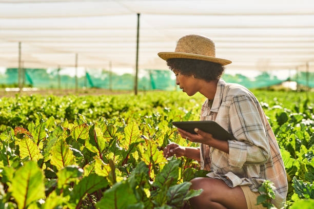 Gestión ambiental y desarrollo sostenible virtual: Genera impacto real desde cualquier lugar