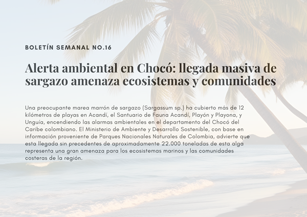 Noticia1 Ambientalex 09052025