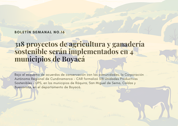 Noticia2 Ambientalex 09052025