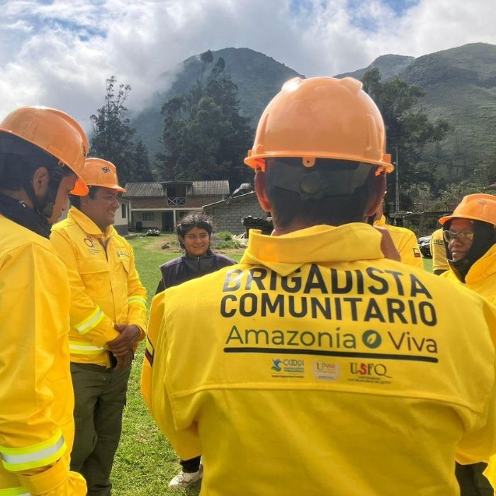 ¡Convocatoria abierta! Postula tu investigación y recibe apoyo para proteger la Amazonía