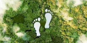 Experta se refiere, en Portafolio, a la huella ecológica