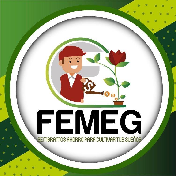 FEMEG LOGO