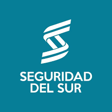 seguridad del sur