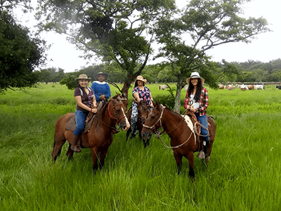 cabalgata4