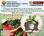  Más de 800 personas  del Cauca se han beneficiado con  la Alianza  entre el CERES Monterilla y el  SENA.