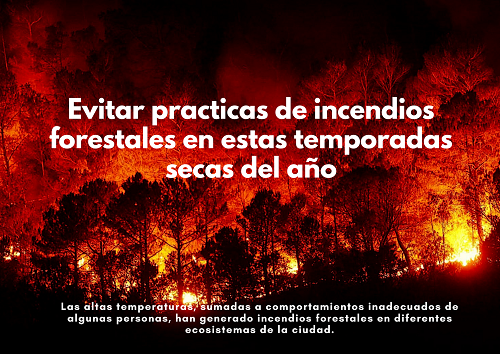4amb