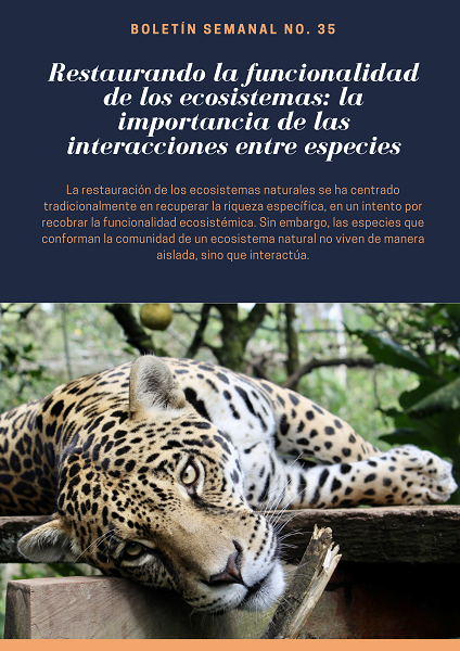 Noticia2 Ambientalex 3008