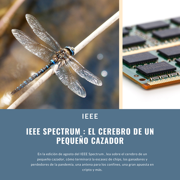 Noticia2 IEEE 2608