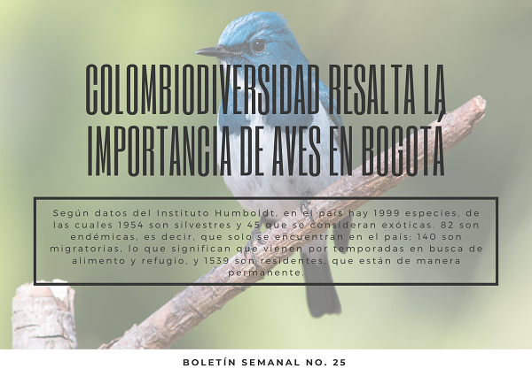 Noticia Ambientalex1 2206