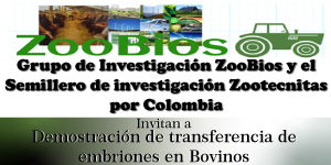 Jornada de demostración de transferencia de embriones en Bovinos
