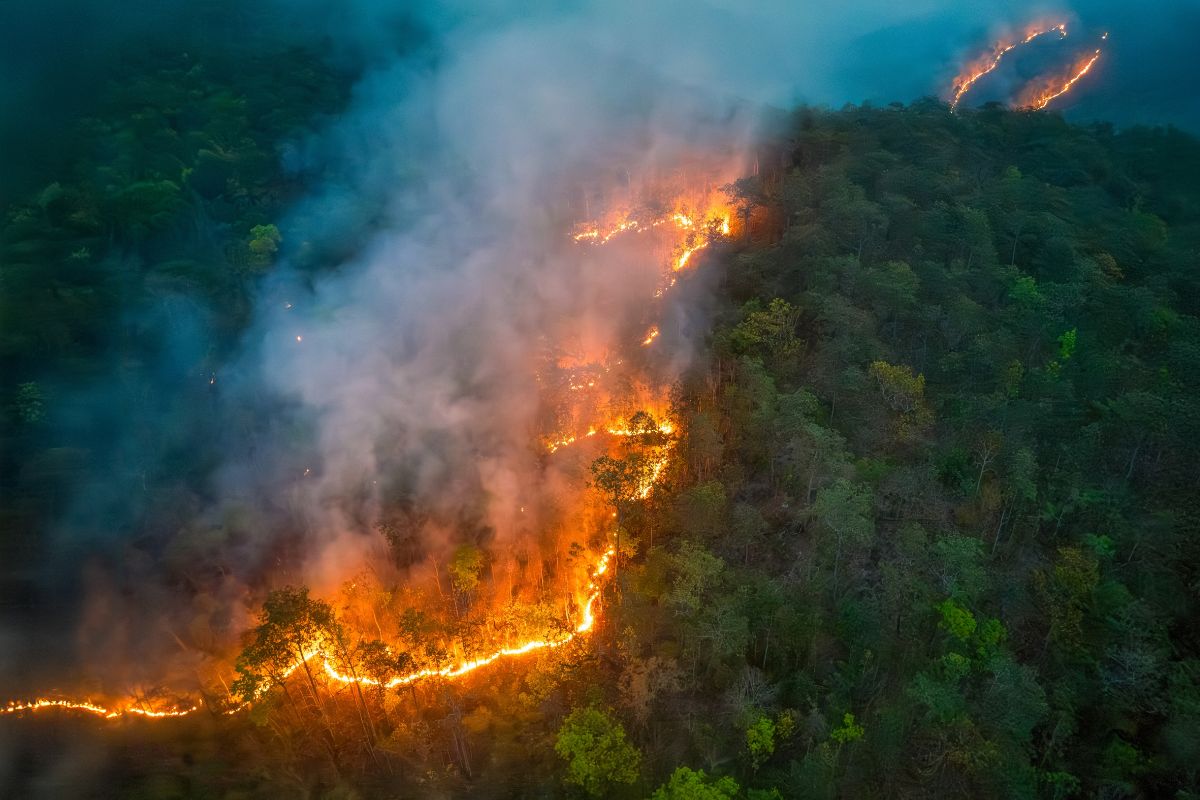 incendios forestales colombia causas 2