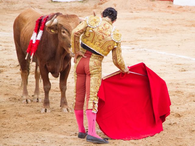 Se aprueba la prohibición de las corridas de toros en Colombia, un paso histórico hacia la protección de los animales en el país