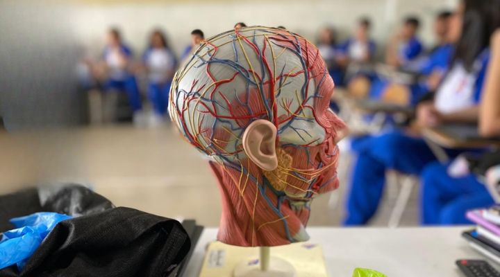 semana cerebro unad 2025 